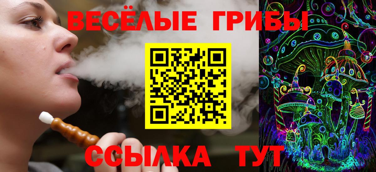 Галлюциногенные грибы ЛСД  Галлюциногенные грибы Psilocybe  хочу   Старая Купавна  Вход с VPN 