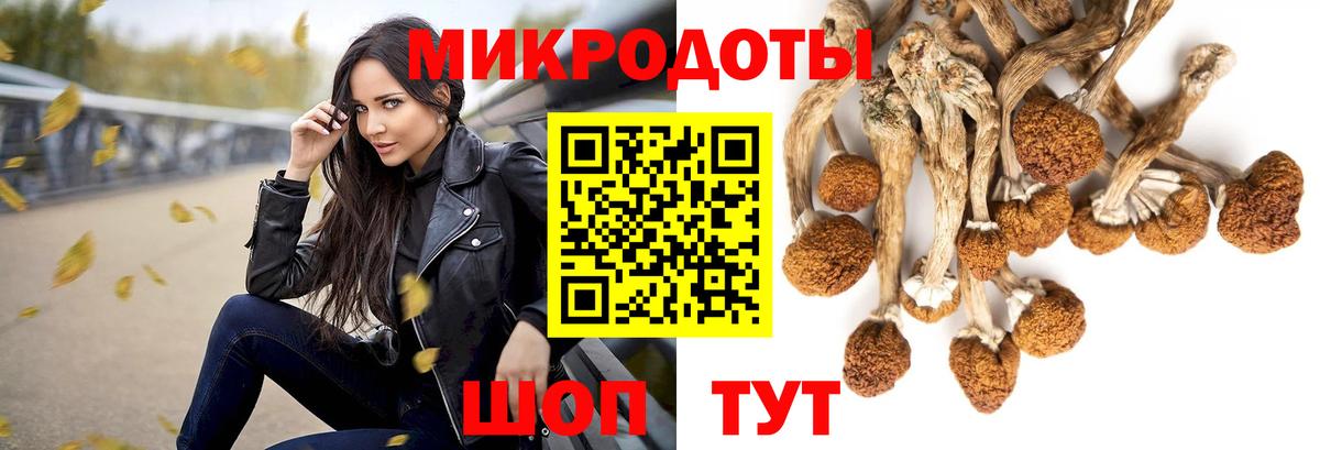 Псилоцибиновые грибы MAGIC MUSHROOMS Старая Купавна